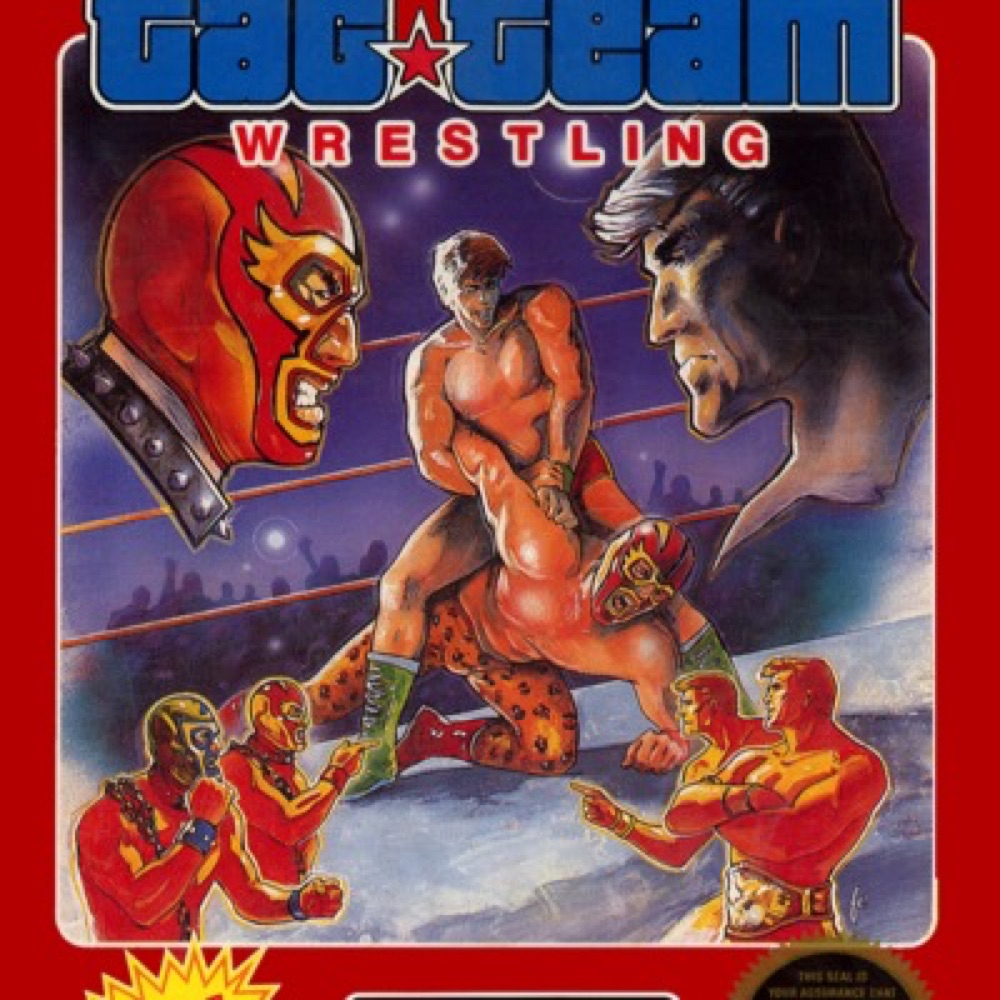 Cover art for TAG TEAM WRESTLING