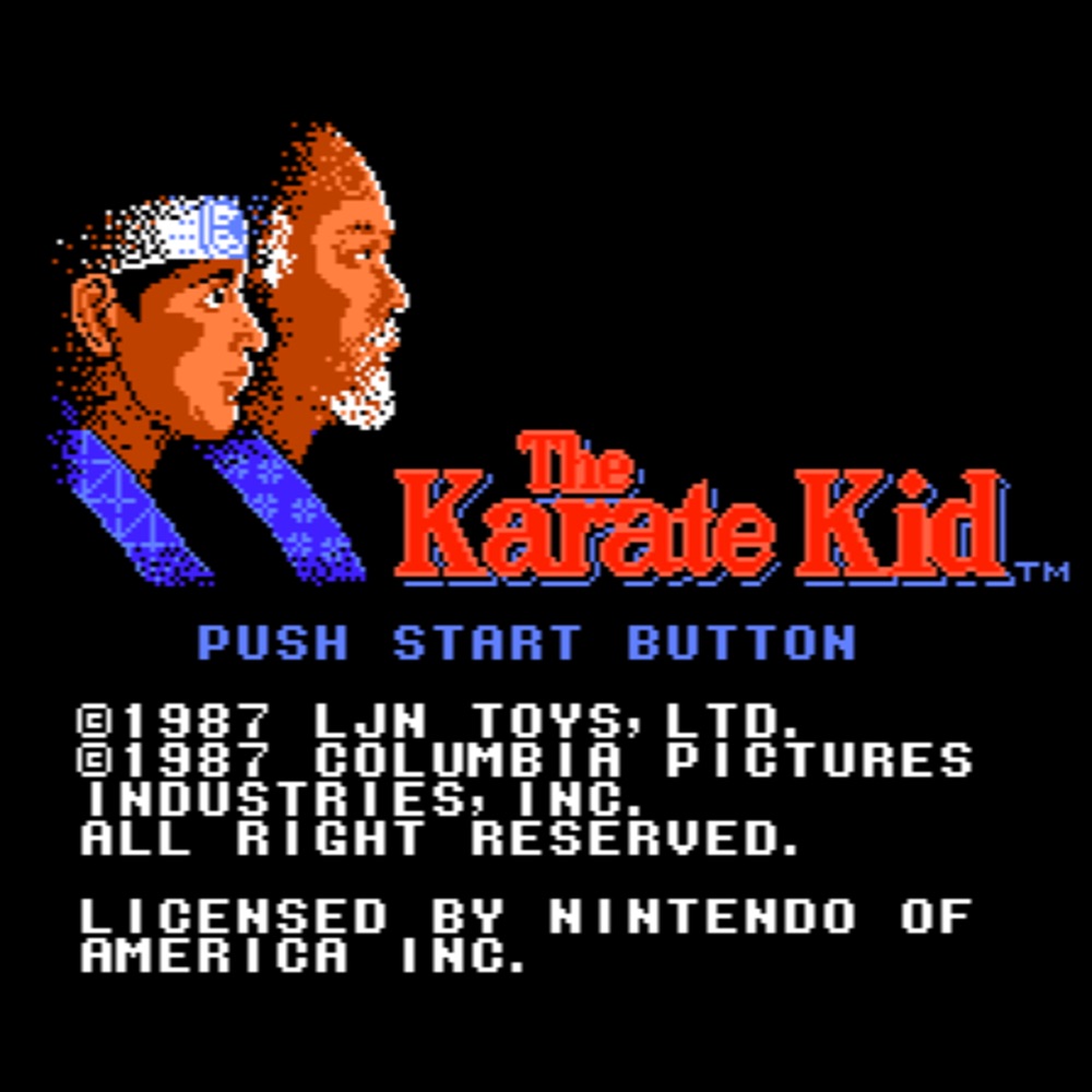 Cover art for THE KARATE KID
