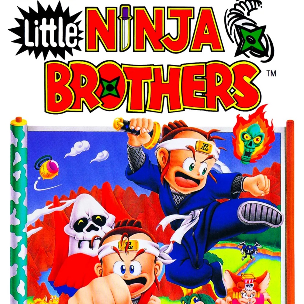 Cover art for Little Ninja Brothers